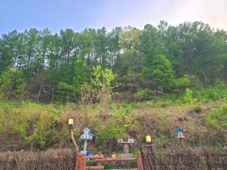 남양주힐링케어 뒤뜰 전경
