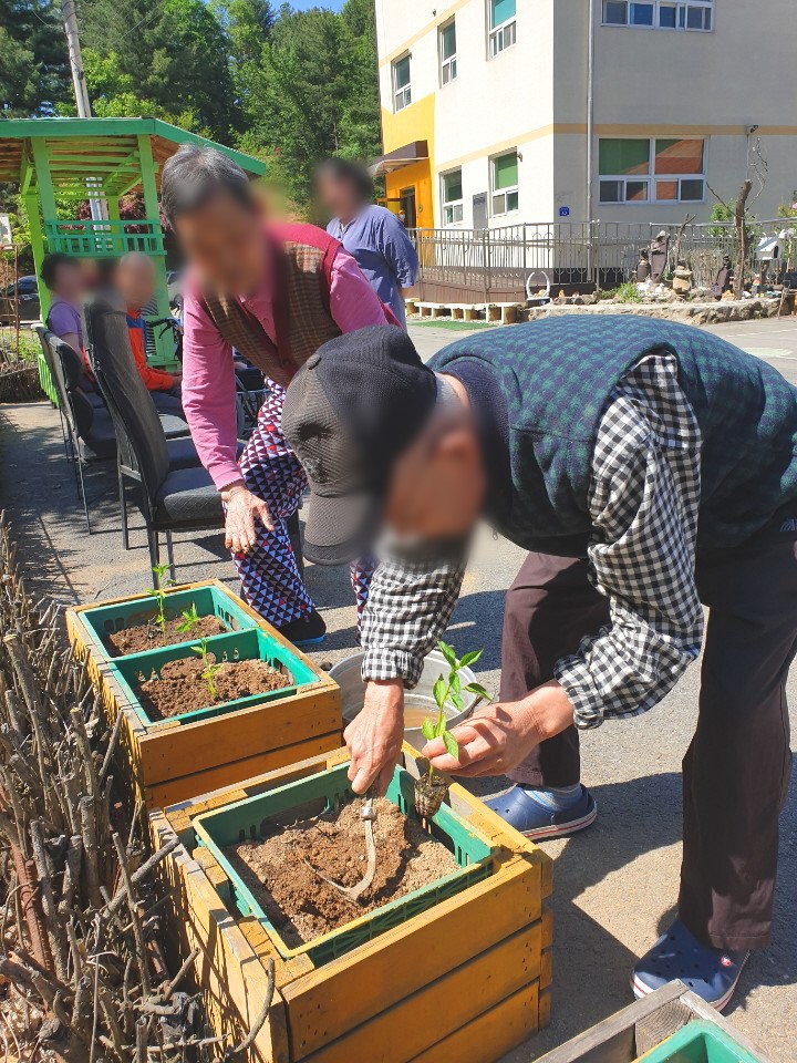 여가프로그램 [텃밭 가꾸기] 1