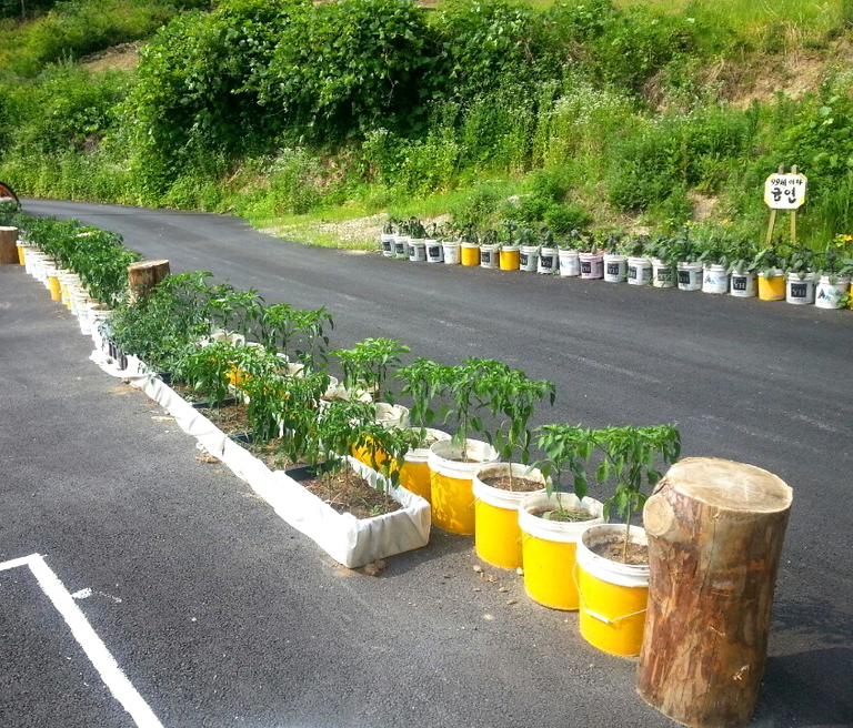 요양원 야외 모습 03